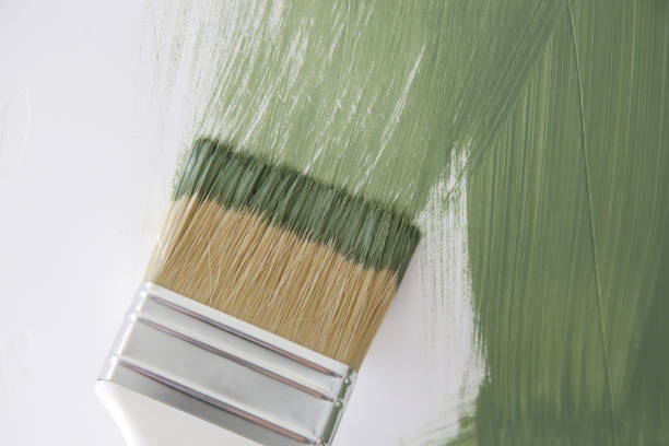 Mold Odor Removal Services in Tsaile, AZ