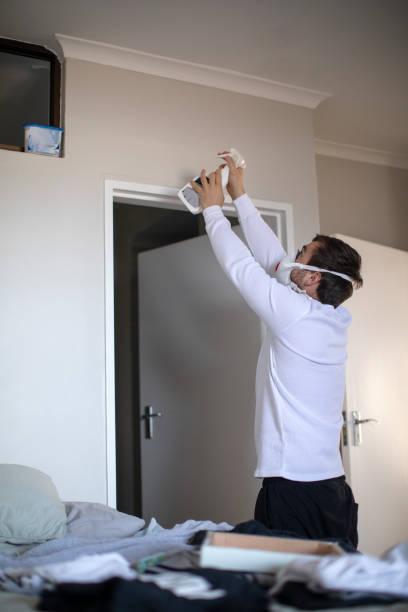 Best Asbestos and Lead Testing During Mold Inspection  in Tsaile, AZ
