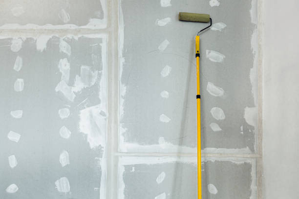 Best Commercial Mold Inspection  in Tsaile, AZ