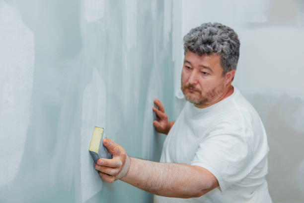 Best Water Damage & Mold Remediation  in Tsaile, AZ