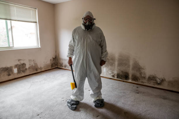 Best HVAC Mold Inspection and Cleaning  in Tsaile, AZ