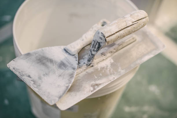 Best Environmental Consulting for Mold Prevention  in Tsaile, AZ